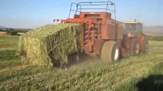 Hesston 4900 hay baler [upl. by Ytinav398]