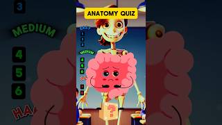 Anatomy Quiz Can You Name These 8 Organs in 60 Seconds shortschallenge [upl. by Ruenhcs]