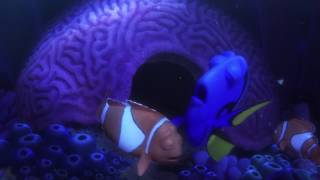 Finding Dory Cutscene 5  Scene 14 [upl. by Hagi15]