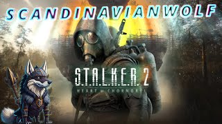 STALKER 2  This Game Is Good If You Ask Me V [upl. by Cochrane]