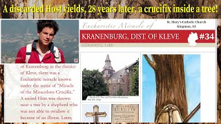 EUCHARISTIC MIRACLE  KRANENBURG 1280  A discarded Host years later yields a cross in a tree 34 [upl. by Carolee]