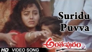 Anthapuram Movie  Suridu Puvva Video Song  Sai Kumar Jagapathi Babu Soundarya [upl. by Theurer709]