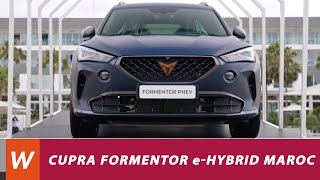 CUPRA Formentor eHybrid  lancement au Maroc [upl. by Fesoj95]