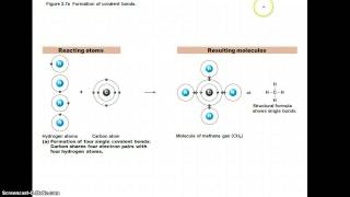 Chapter 2 Notes Part 2 Chemistry Comes Alive [upl. by Zosi]