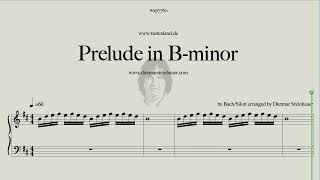 Prelude in Bminor [upl. by Roddie334]