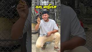 বন্য শালিক পাখির অবাক করা আচরণ birds funnyanimals ornofpets [upl. by Darius]