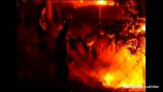 Forest fires rage in Chile [upl. by Lionel]