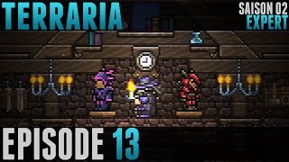 Terraria Expert  13  Bâtiment de Stockage [upl. by Sekyere134]