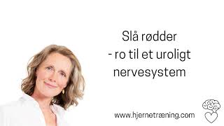 Slå rødder  ro til et uroligt nervesystem [upl. by Tobi860]