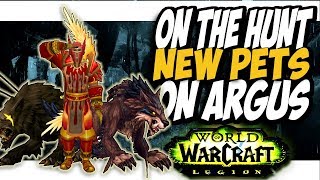 NEW PETS ON ARGUS Common to Rare hunter pets On The Hunt WoW Legion patch 7 3 [upl. by Gnek]