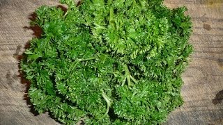 How To Juice Parsley Recipe [upl. by Leachim]