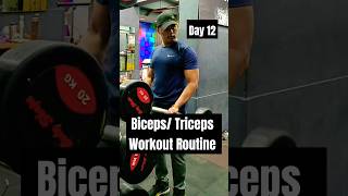 Day 12  I Tested the Arms Day Workout from Cyberpunk [upl. by Esmeralda]