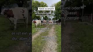 Nimm es ernst youtubeshorts goviral liebe [upl. by Laufer]