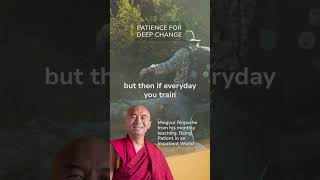 Patience for Deep Change  Mingyur Rinpoche [upl. by Doxia95]