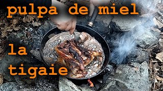 miel la tigaie la padurebushcraft cooking [upl. by Suhail]