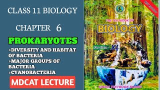 DIVERSITY IN BACTERIA AND HABITAT  GROUPS OF BACTERIA CYANOBACTERIA CLASS 11 NEW BIO SINDH [upl. by Eizdnil]