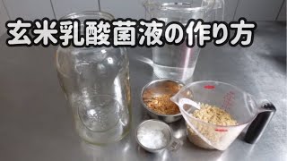 簡単！いろいろ使える！玄米乳酸菌液の作り方 [upl. by Llahsram106]