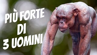 I 10 ANIMALI PIÙ FORTI DEL MONDO [upl. by Qifar]