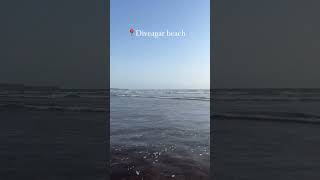 Diveagar beach summervibes 2024 cleanbeach travel kokan horsecart seafood kokandiaries [upl. by Oloapnaig]