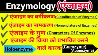 एंजाइमEnzymology एंजाइम के गुण नामकरण वर्गीकरण खोज कारकHoloenzyme Apoenzyme Coenzyme And Cofactor [upl. by Toomin]