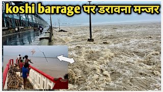 Koshi barrage Nepal  Koshi Barrage se lakdi nilalte huwe  saptakoshi river Nepal  foryou [upl. by Upshaw]