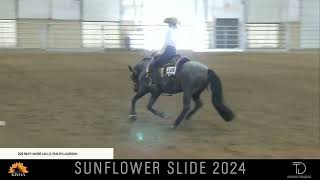 2024 Non Pro Reining [upl. by Aileda632]