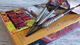 One80 DANIEL ZYGLA  DARTS REVIEWS HD [upl. by Franchot695]