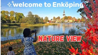 Very beautiful road side views in Sweden  car trip to Enköping  autumn🍂colors  road trip Europe [upl. by Aia]