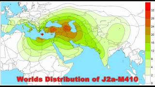 The TRUTH about The Haplogroup J YDNA [upl. by Willow]