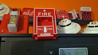 Siemens Cerberus Pyrotronics MXLV Fire Alarm System Test  Demonstration [upl. by Amada]