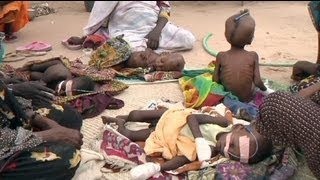 Vereinte Nationen warnen vor Hungersmot im Sahel [upl. by Hege]