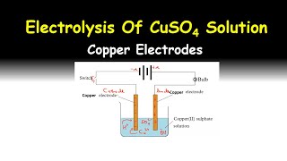 Electrolysis Of Copperii Sulphate Using Copper Electrodes [upl. by Sacul2]