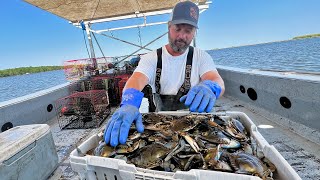 Why is Crab Fishing a Tough Industry [upl. by Palgrave973]