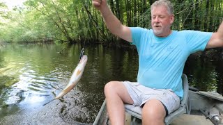 EDISTO RIVER FISHIN GATORS WATCHING fishing river aligators [upl. by Yanehc]