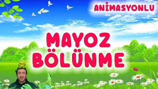 MAYOZ BÖLÜNME 7 SINIF FEN BİLİMLERİ [upl. by Airdnalahs]