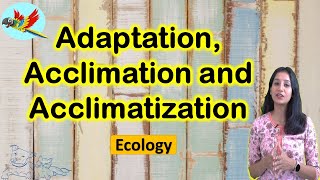 Adaptation Acclimatization and Acclimation I Ecology I CSIR NET I GATE I NEET I IITJAM I GATB [upl. by Clifford]