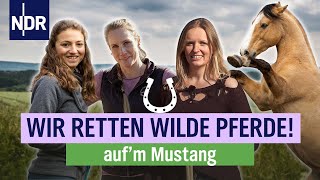 3 Mustangs 3 Trainerinnen  90 Tage Training bis zum Finale  Folge 1  NDR aufm Land [upl. by Magnusson777]