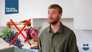 Foods dogs cannot eat  Dog Nutrition Lessons  Ep 7 [upl. by Tsyhtema881]