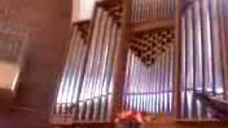 Pipe Organ Solo  Now Thank We All Our God [upl. by Yekcin]