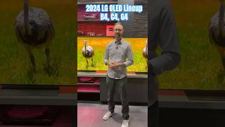 2024 LG OLED Comparison B4 vs C4 vs G4 [upl. by Estus]