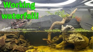 Paludarium with working waterfall paludariumamphibians [upl. by Florida379]