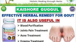 Natural Treatment for Gout Arthritis amp Various Joint Pain Kaishore Guggul [upl. by Ennaj246]