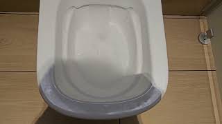 2015 Grohe Rimless toilet on a Grohe Auto Flush [upl. by Obala]