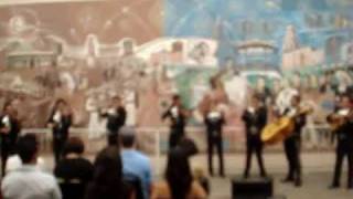 quotVeracruz 2 quot Mariachi Cocula [upl. by Inaluiak]