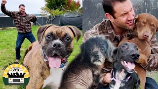 Rescuing 9 adorable dogs from the crowded shelter  The Asher House [upl. by Ayotak]