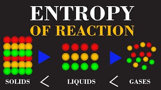 The Entropy of Reaction  Energy and Disorder  Chemical Thermodynamics Explained  ChemClarity [upl. by Cindy]