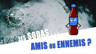 LES SODAS  Amis ou ennemis de la santé [upl. by Hadwyn]