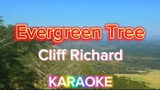 Evergreen Tree  Cliff Richard karaoke [upl. by Lleraj19]