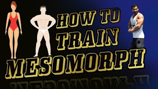 How To Train Mesomorph [upl. by Yaresed985]