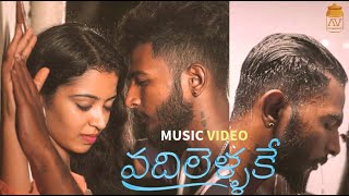 Vadhilellake Telugu Private Album Song  Charan  Navya Chityala  Sarav II Romantic [upl. by Natsrik]